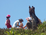 Family picnic beside the wallaroo (#62)