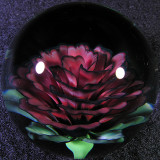 Rosey Size: 1.57 Price: SOLD