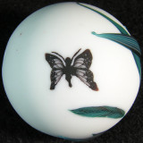 Quite simply one of the most beautiful marbles on the planet!