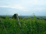 14DSC01156.jpg