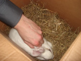 DSC04367.jpg