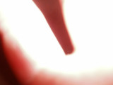 P5120537.jpg