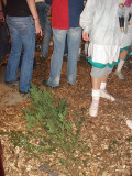 148DSC03145.jpg