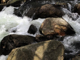 water-and-rock.jpg