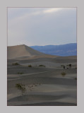 Sand Dunes