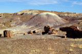 Chinle Mounds