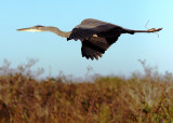 2010 Everglades National Park - Florida