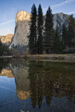 Early Light - El Capitan