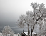 Winter Scene - Mono Lake