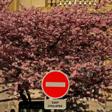 Vive le vlo