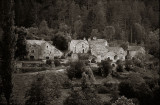 Au bord du Tarn