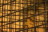 En cage