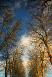 Nus en hiver