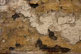 Textured