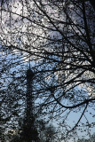 Tree effect on Eiffel tower