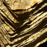 Feuilles dor