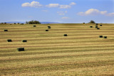 Monticello