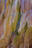 Mammoth Hot Springs, Yellowstone National Park, Wyoming