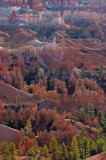 Bryce Canyon National Park, Utah