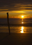 The Stick at Sunrise_3522 copy.jpg