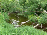 Ziemelsuseja river