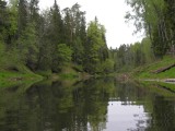 Abava
