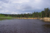 Gauja