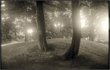 Argus C3 Wide angle35mm