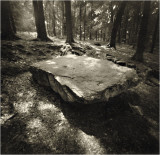 Pinhole 6x6  33mm  0,22