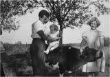 How I learned horseriding.
