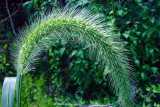 August 30 2008 002a.jpg