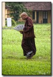 The Citadel, Hue