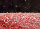 6000-Micra Hailstones-web.jpg