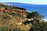 IMG_1993 tp.jpg