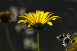 IMG_6195 tp.jpg