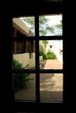 IMG_0491tp.jpg