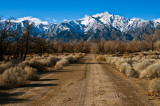 0608-A-Lonely-Road-of-Manzanar.jpg