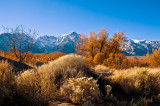 0379-Textures-of-the-Eastern-Sierra.jpg