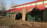 IMG_9204a.jpg