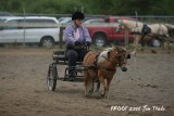 IMG_8511.jpg