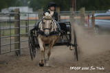 IMG_8512.jpg
