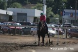 IMG_8712.jpg
