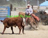 IMG_8708a.jpg