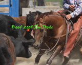 IMG_8714a.jpg