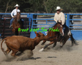 IMG_8883a.jpg