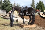IMG_6175.jpg