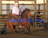 IMG_4712a.jpg