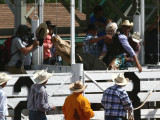 Bull Riding - IMG_4927.JPG