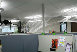 our departments halloween decorations