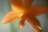 Resize of _DSC0261.jpg